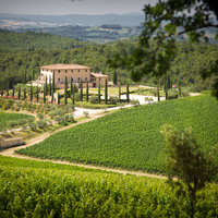 The Tolaini Estate View from Al Passo